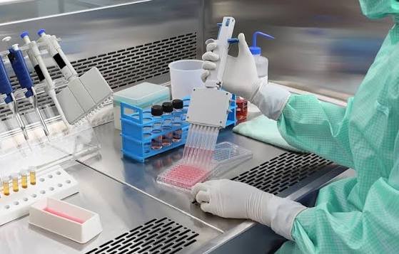 Molecular Diagnostics supplied by Relabs DNA Kenya